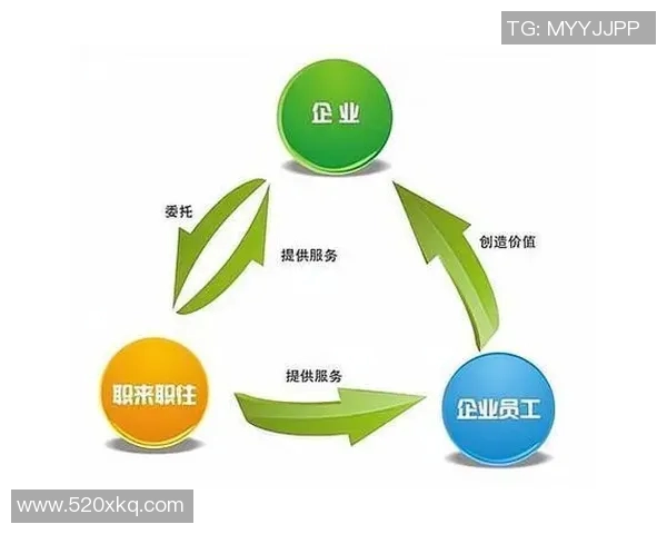 深入探讨上海排球队配合策略与对手的差异分析 深入探讨上海排球队配合策略与对手的差异分析