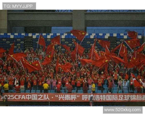 世界足球明星足球嘉年华盛典激情四溢球迷齐聚共庆足球梦想与荣耀的盛宴 世界足球明星足球嘉年华盛典激情四溢球迷齐聚共庆足球梦想与荣耀的盛宴