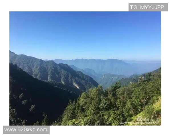 海门三厂足球明星的崛起与成就探索之旅 海门三厂足球明星的崛起与成就探索之旅