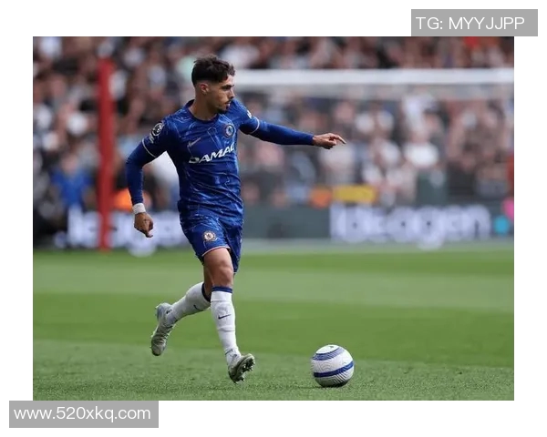 梅尼耶足球明星的辉煌历程与未来展望:从青训到职业生涯的精彩瞬间 梅尼耶足球明星的辉煌历程与未来展望:从青训到职业生涯的精彩瞬间