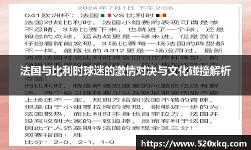 法国与比利时球迷的激情对决与文化碰撞解析